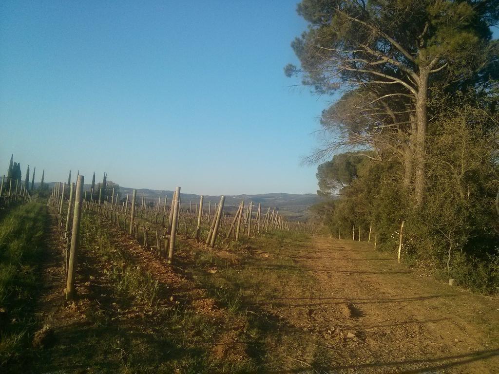 Argiano Dimore Wine Relais מראה חיצוני תמונה