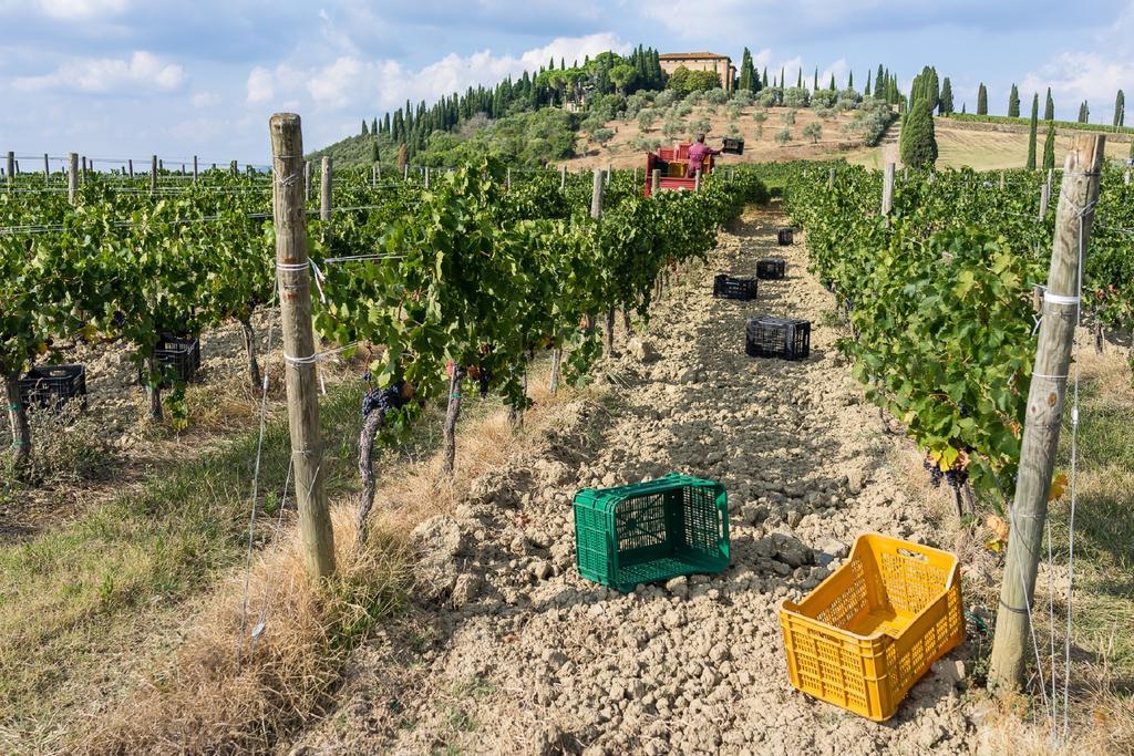 Argiano Dimore Wine Relais מראה חיצוני תמונה