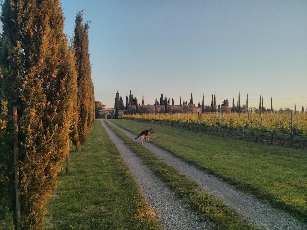 Argiano Dimore Wine Relais מראה חיצוני תמונה